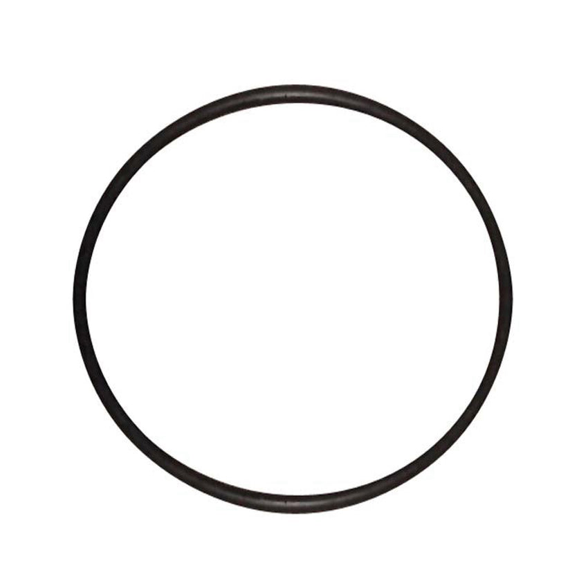10000602 O-Ring 200 X 10 für Schwing Betonpumpe BPL 900 1200