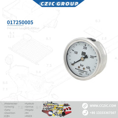 Druckmessgerät 0-400Bar OEM 017250005